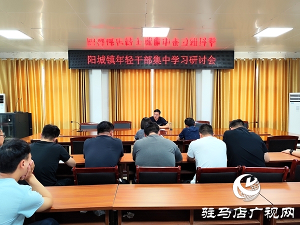 平輿縣陽城鎮(zhèn)召開年輕干部集中學(xué)習(xí)研討會