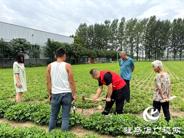 平輿縣李屯鎮(zhèn)法所：巧解土地糾紛“千千結(jié)”繪就鄉(xiāng)村和諧新畫卷