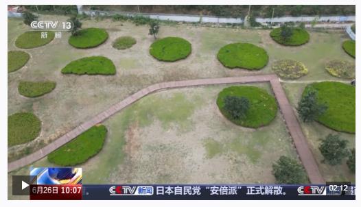 “黑科技”升級糧食“住”進好房子 今年糧食收購儲存有新亮點→