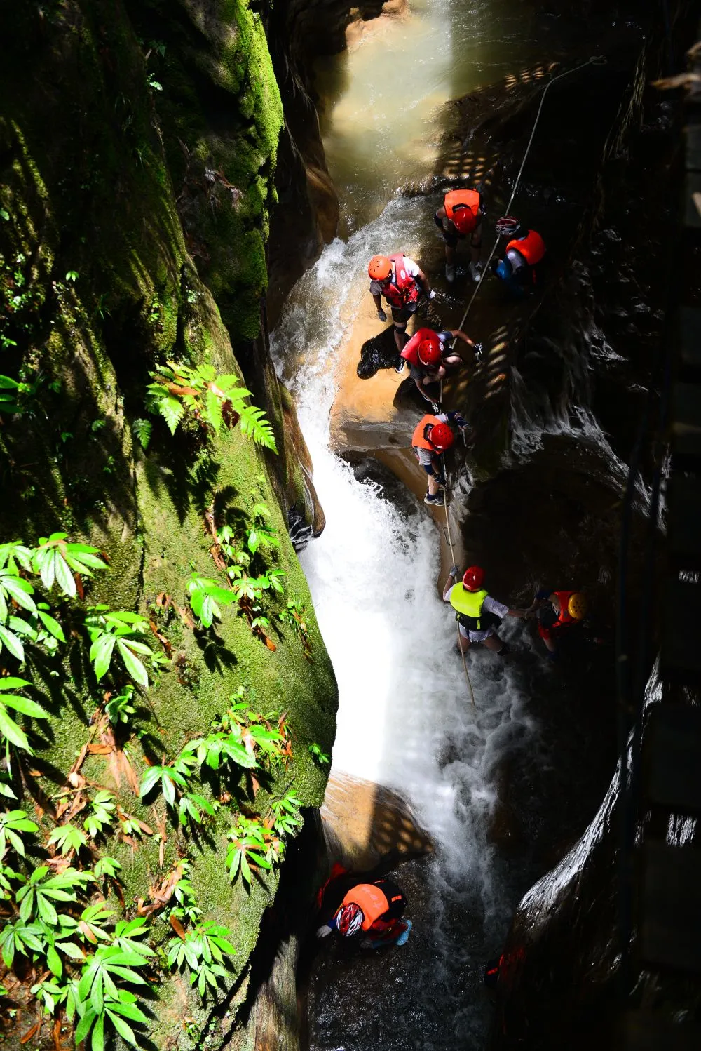 帶活“避暑經(jīng)濟”，這些地方有“妙招”