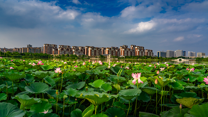縣區(qū)動(dòng)態(tài) | 咔嚓！捕捉夏天的N種色彩