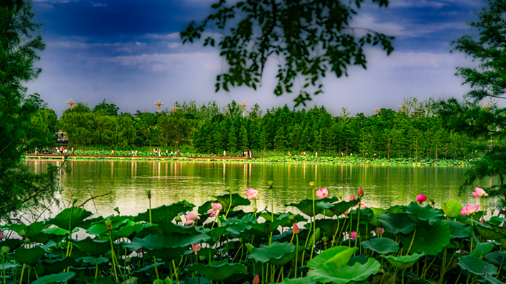 縣區(qū)動(dòng)態(tài) | 咔嚓！捕捉夏天的N種色彩