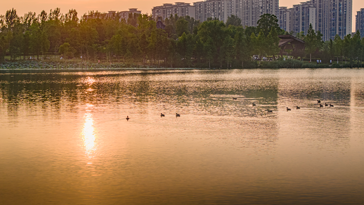 縣區(qū)動(dòng)態(tài) | 咔嚓！捕捉夏天的N種色彩