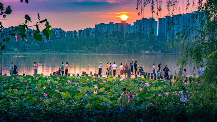 縣區(qū)動(dòng)態(tài) | 咔嚓！捕捉夏天的N種色彩