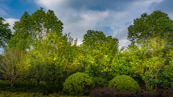 縣區(qū)動(dòng)態(tài) | 咔嚓！捕捉夏天的N種色彩