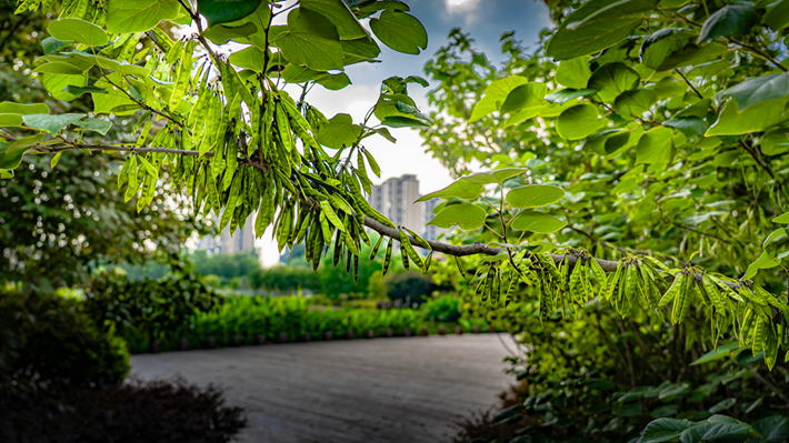 縣區(qū)動(dòng)態(tài) | 咔嚓！捕捉夏天的N種色彩