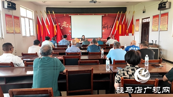 平輿縣老王崗鄉(xiāng)黨委副書記、鄉(xiāng)長到孫坡村講專題黨課