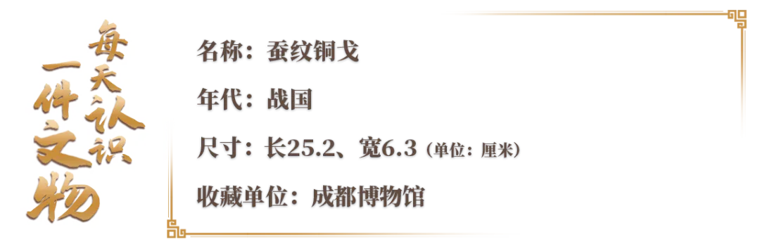 文博日歷丨青銅戈上刻蠶紋 這是古蜀人種桑養(yǎng)蠶的實(shí)證
