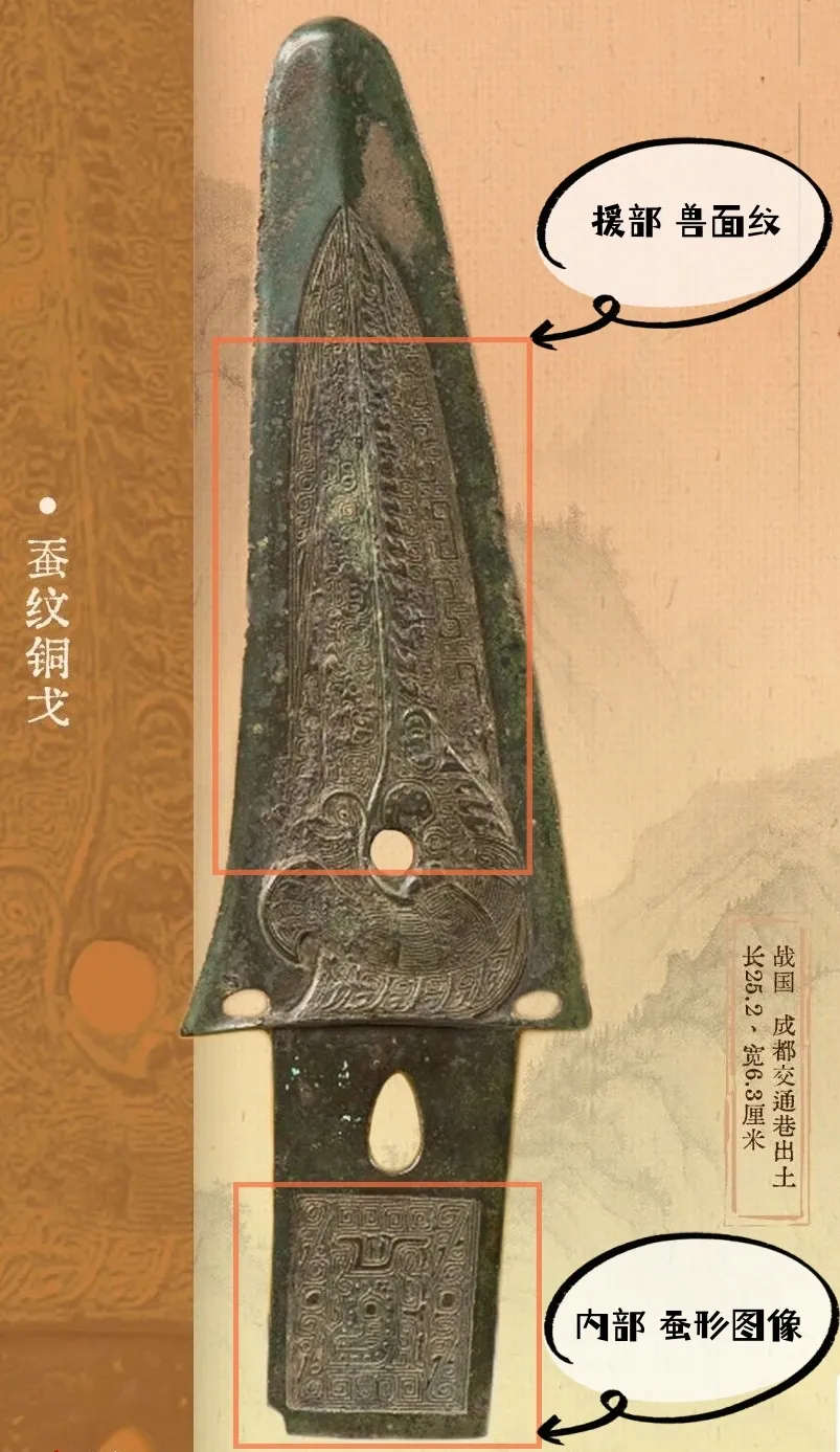 文博日歷丨青銅戈上刻蠶紋 這是古蜀人種桑養(yǎng)蠶的實(shí)證