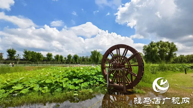 【大美天中】泌陽(yáng)現(xiàn)“水晶天”！漢風(fēng)古韻與湖光云影同框