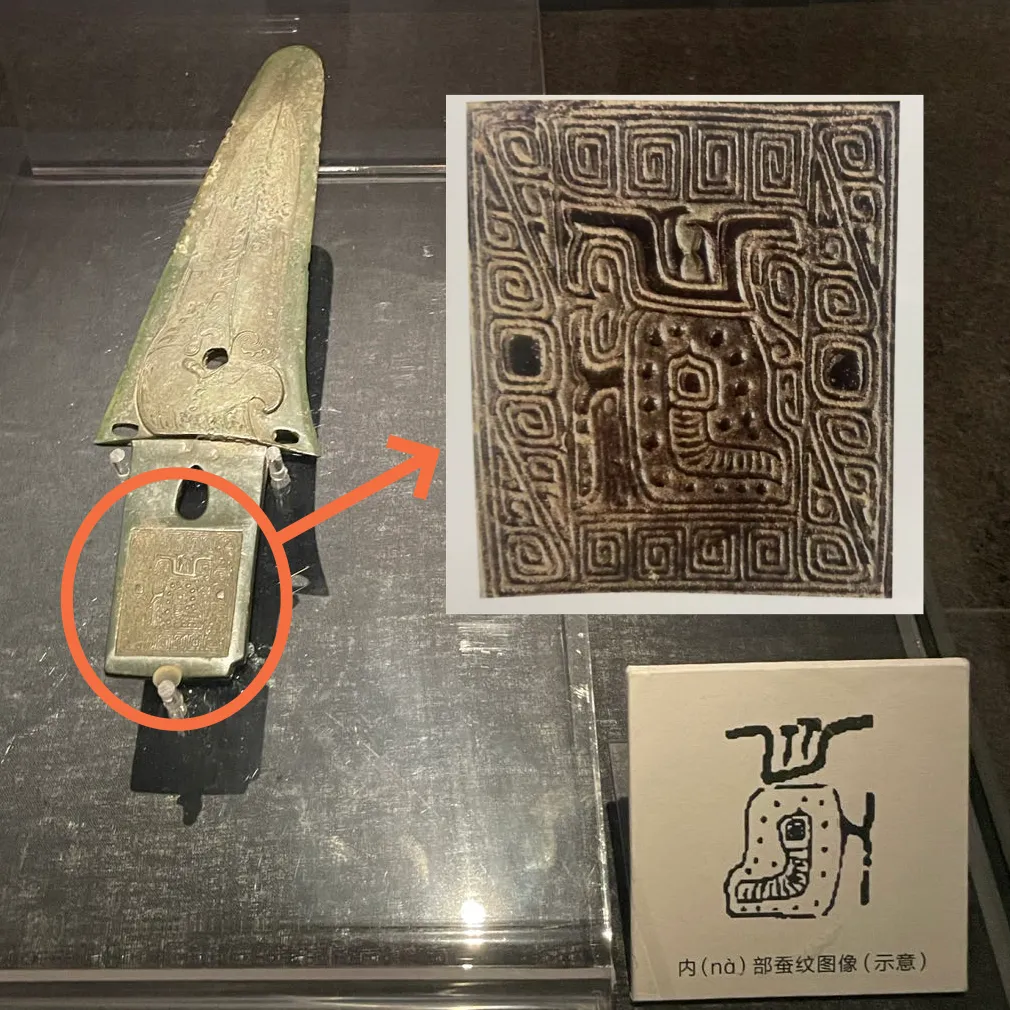 文博日歷丨青銅戈上刻蠶紋 這是古蜀人種桑養(yǎng)蠶的實(shí)證