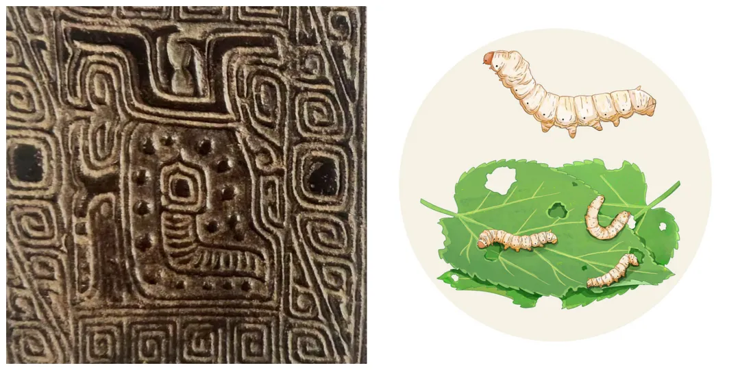 文博日歷丨青銅戈上刻蠶紋 這是古蜀人種桑養(yǎng)蠶的實(shí)證