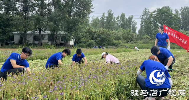 黃淮學(xué)院：以科創(chuàng)之力服務(wù)兩高四著力戰(zhàn)略 書寫新時代青春答卷