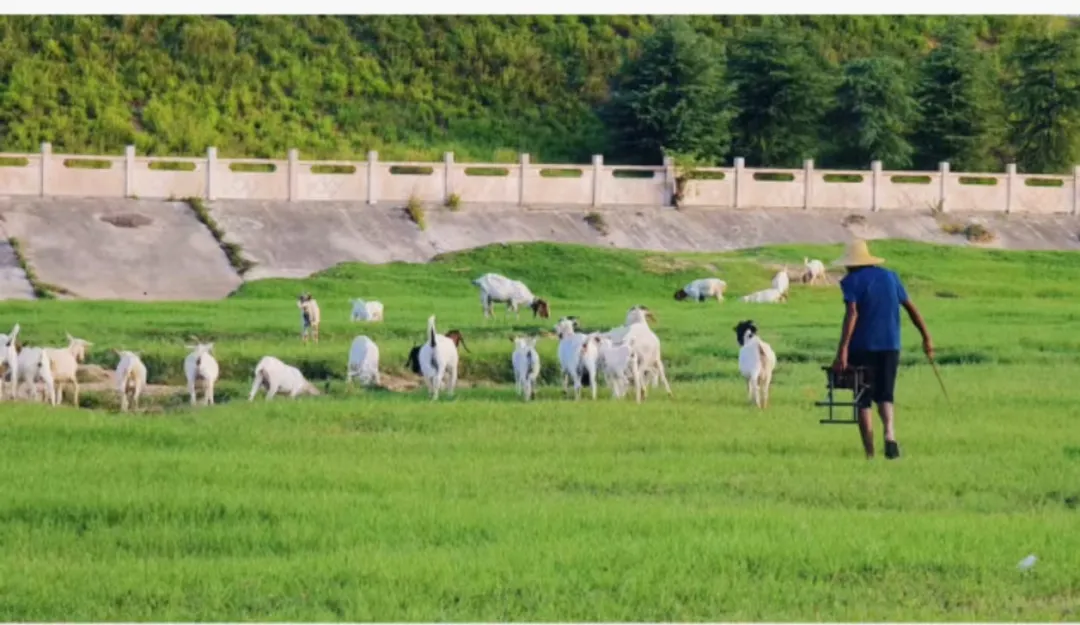 縣區(qū)動(dòng)態(tài) | 快來泌陽(yáng)的“阿勒泰”打卡！