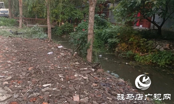  西平縣柏城街道開展溝渠清理專項(xiàng)行動(dòng) 打造生態(tài)水美新柏城