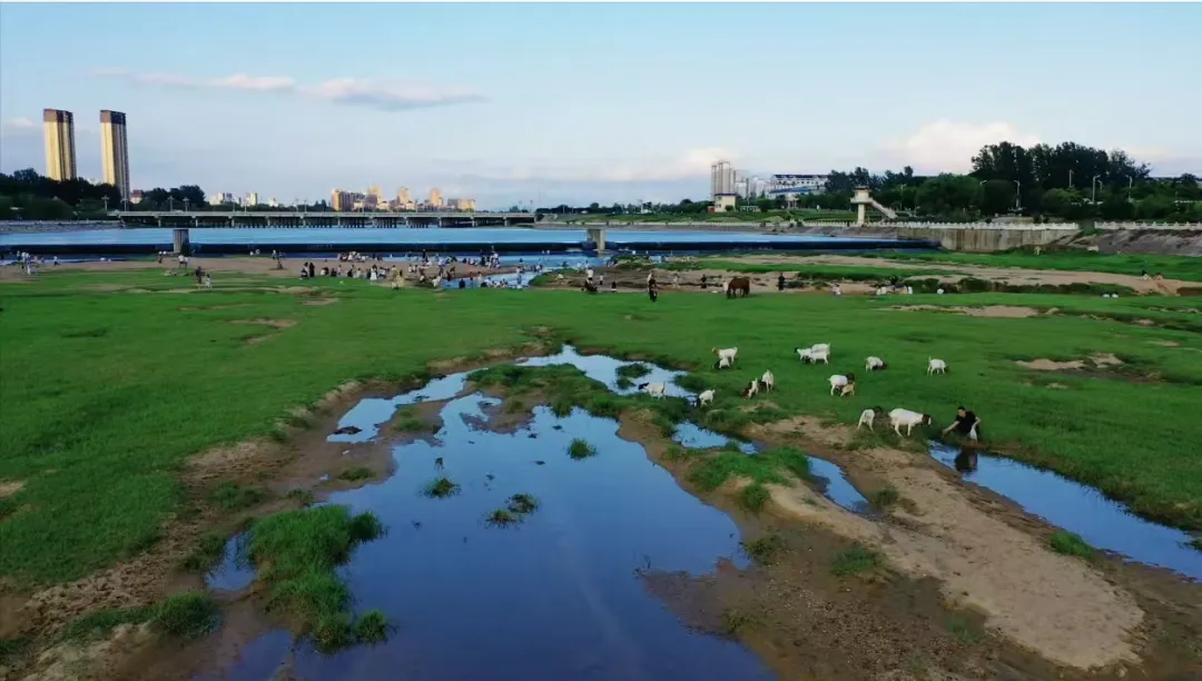 縣區(qū)動(dòng)態(tài) | 快來泌陽(yáng)的“阿勒泰”打卡！