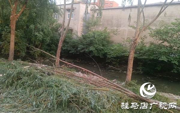  西平縣柏城街道開展溝渠清理專項(xiàng)行動(dòng) 打造生態(tài)水美新柏城