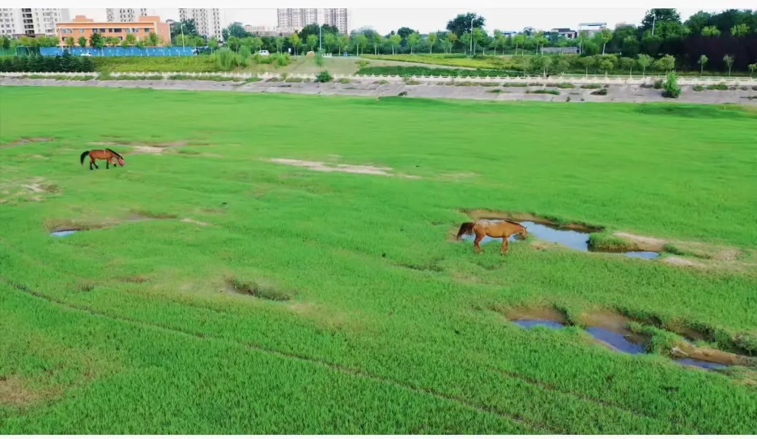 縣區(qū)動(dòng)態(tài) | 快來泌陽(yáng)的“阿勒泰”打卡！