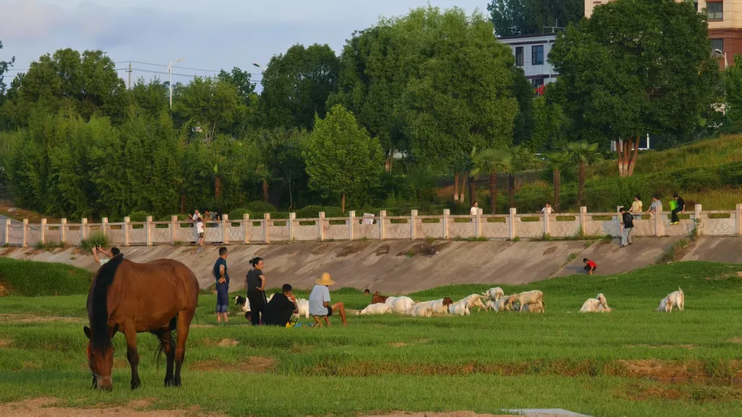 縣區(qū)動(dòng)態(tài) | 快來泌陽(yáng)的“阿勒泰”打卡！