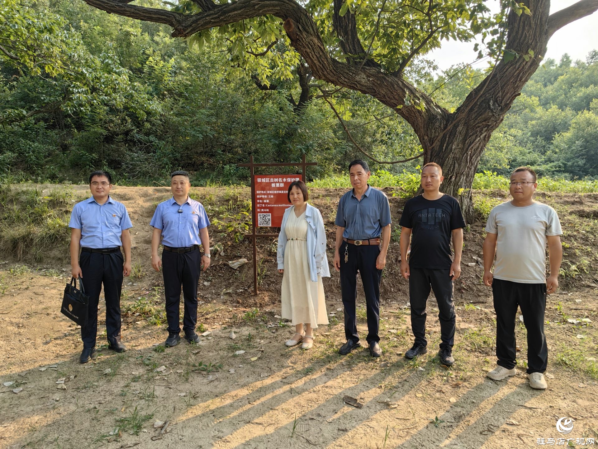 驛城檢察：守護驛城大地綠色的記憶