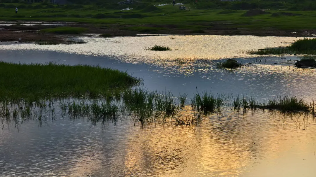 縣區(qū)動(dòng)態(tài) | 快來泌陽(yáng)的“阿勒泰”打卡！