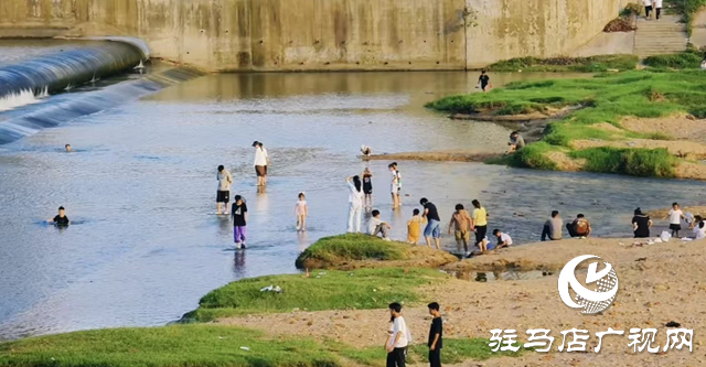 【大美天中】不輸遠方 泌陽濕地公園成“家門口的阿勒泰”