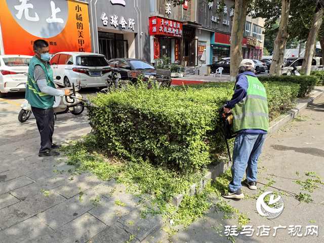  開發(fā)區(qū)城市管理局：全力打好“戰(zhàn)高溫 保綠蔭”攻堅戰(zhàn) 守護城市綠色風(fēng)景線