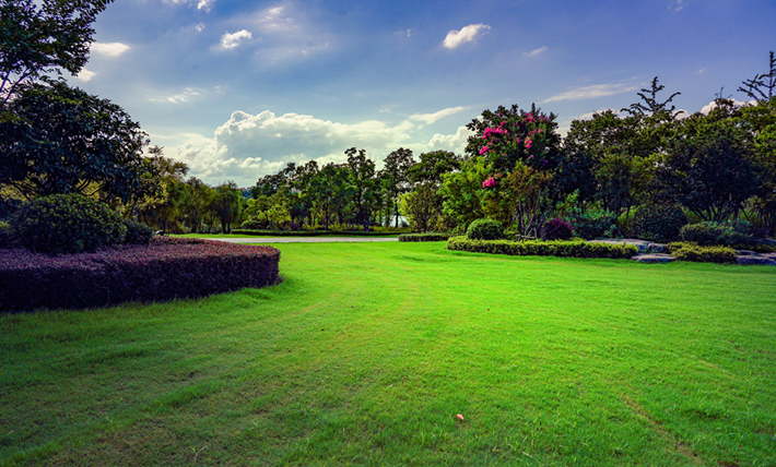 縣區(qū)動態(tài) | 一泓碧水繞城過 滿目青綠夏意濃