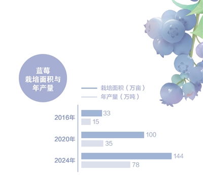 消費者“甜”了，果農有賺頭嗎？