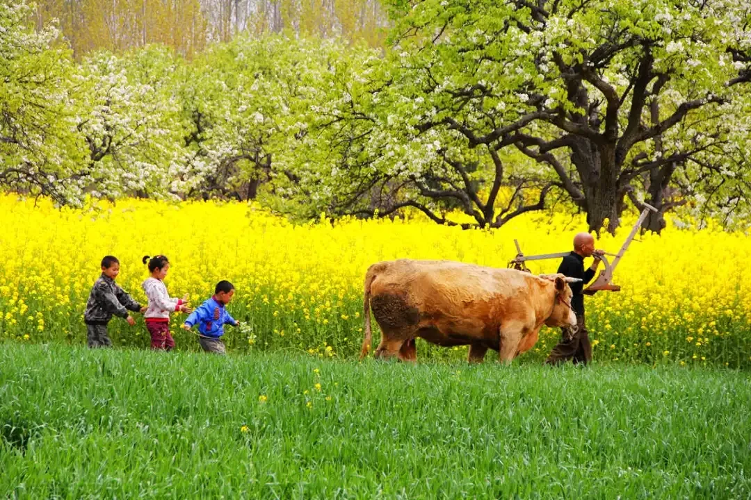 縣區(qū)動態(tài) | 來泌陽吧，來一場不一樣的生態(tài)游