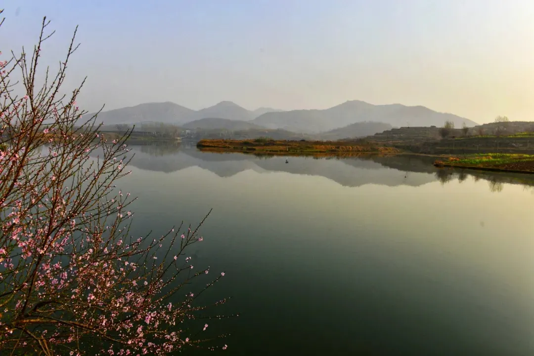 縣區(qū)動態(tài) | 來泌陽吧，來一場不一樣的生態(tài)游