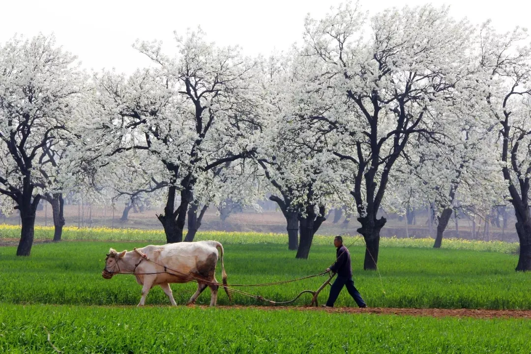 縣區(qū)動態(tài) | 來泌陽吧，來一場不一樣的生態(tài)游