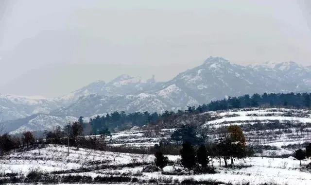 縣區(qū)動態(tài) | 來泌陽吧，來一場不一樣的生態(tài)游