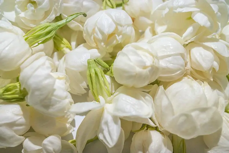 文博日歷丨誰是竹夫人？古人消暑神器了解一下