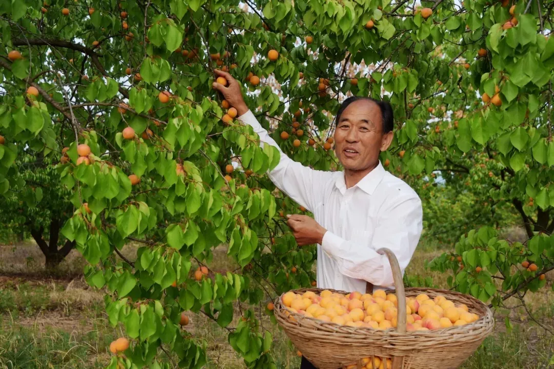 縣區(qū)動態(tài) | 來泌陽吧，來一場不一樣的生態(tài)游