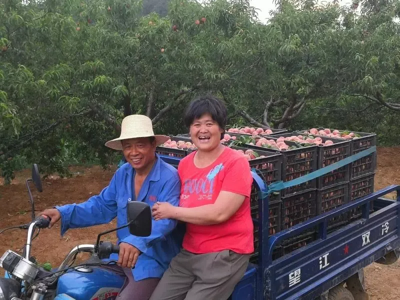 縣區(qū)動態(tài) | 來泌陽吧，來一場不一樣的生態(tài)游