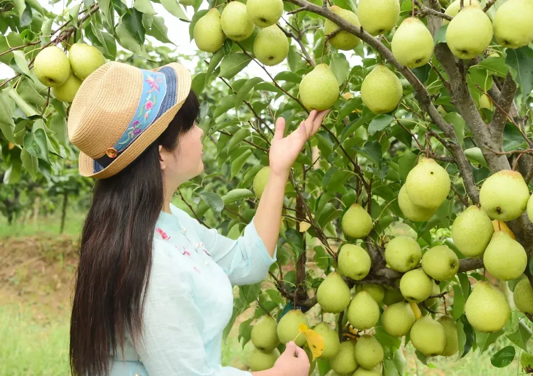 縣區(qū)動態(tài) | 來泌陽吧，來一場不一樣的生態(tài)游