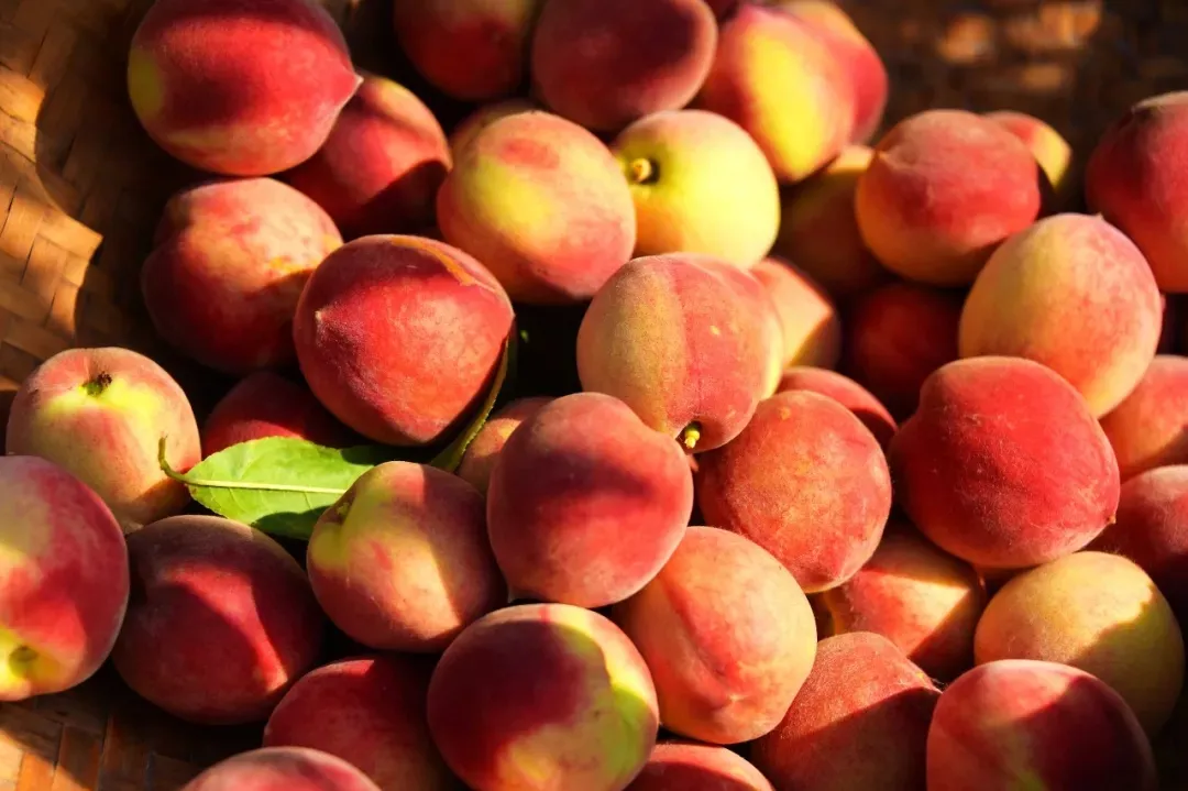 縣區(qū)動態(tài) | 來泌陽吧，來一場不一樣的生態(tài)游