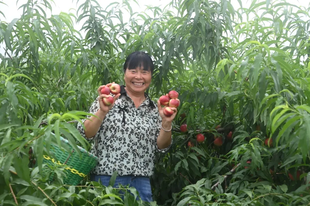 縣區(qū)動態(tài) | 來泌陽吧，來一場不一樣的生態(tài)游