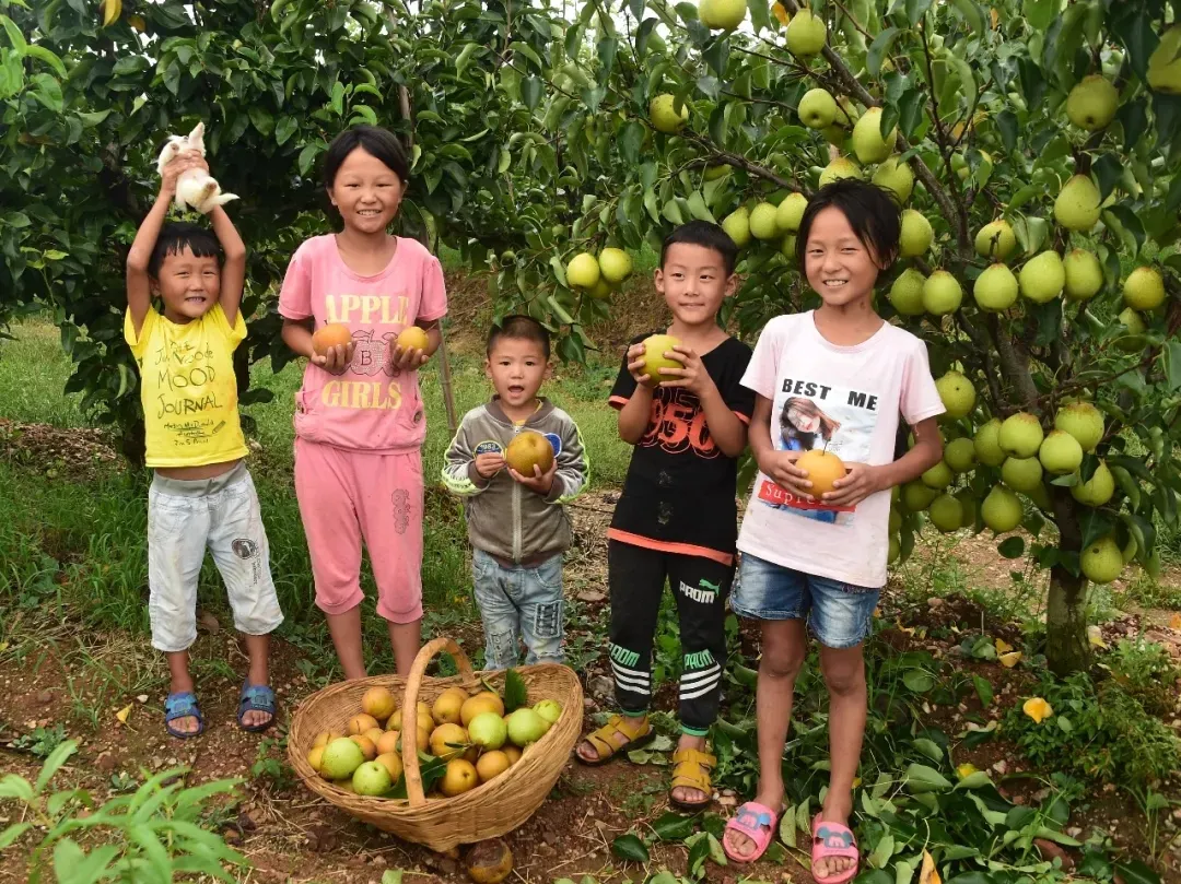 縣區(qū)動態(tài) | 來泌陽吧，來一場不一樣的生態(tài)游