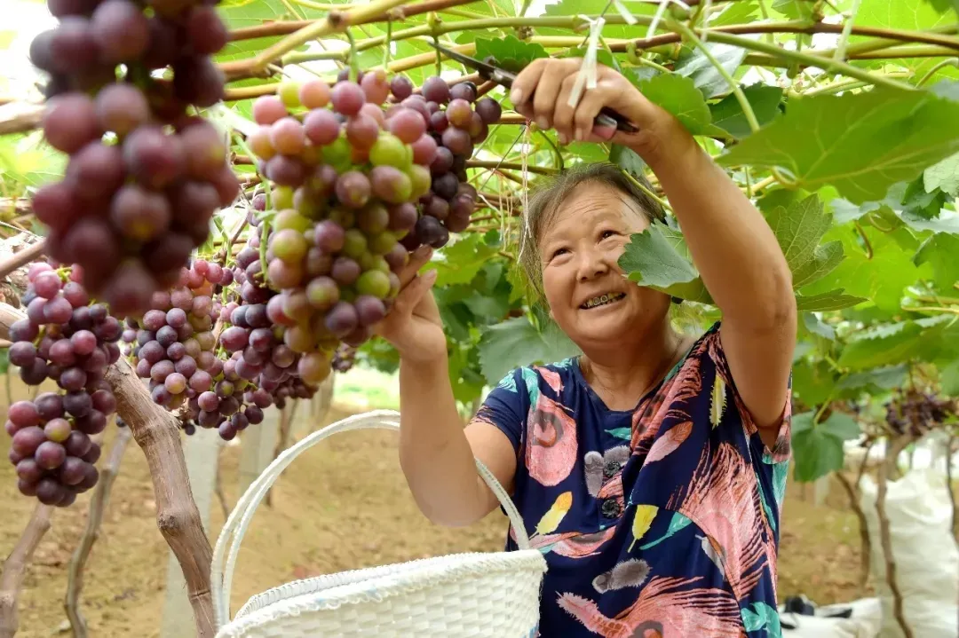 縣區(qū)動態(tài) | 來泌陽吧，來一場不一樣的生態(tài)游