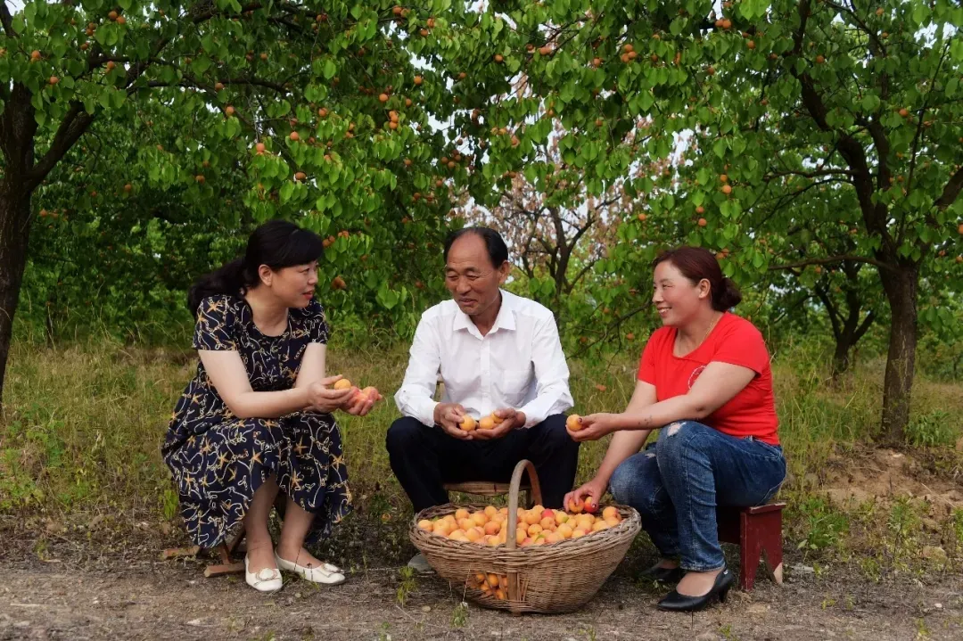 縣區(qū)動態(tài) | 來泌陽吧，來一場不一樣的生態(tài)游