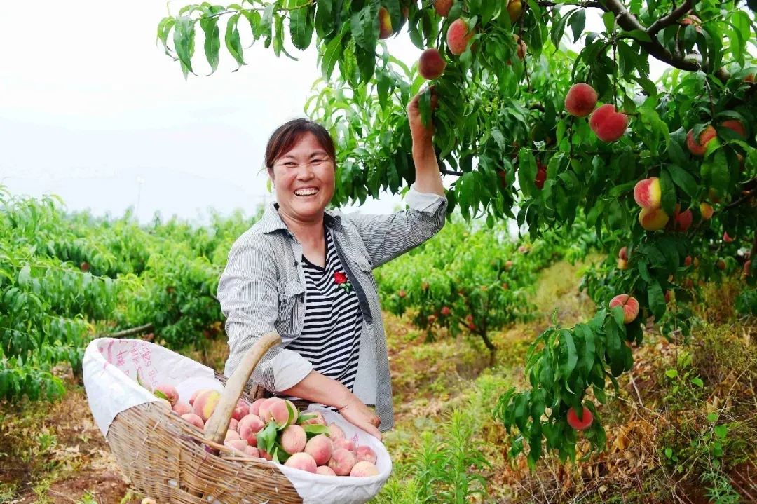 縣區(qū)動態(tài) | 來泌陽吧，來一場不一樣的生態(tài)游
