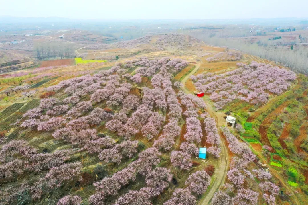 縣區(qū)動態(tài) | 來泌陽吧，來一場不一樣的生態(tài)游