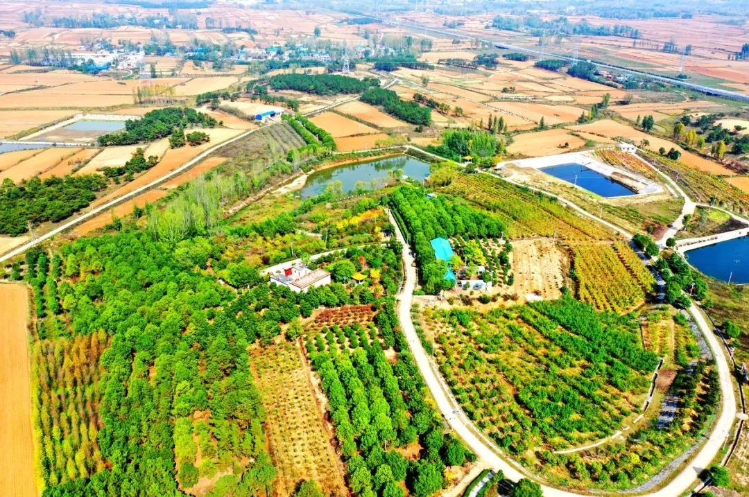 縣區(qū)動態(tài) | 來泌陽吧，來一場不一樣的生態(tài)游