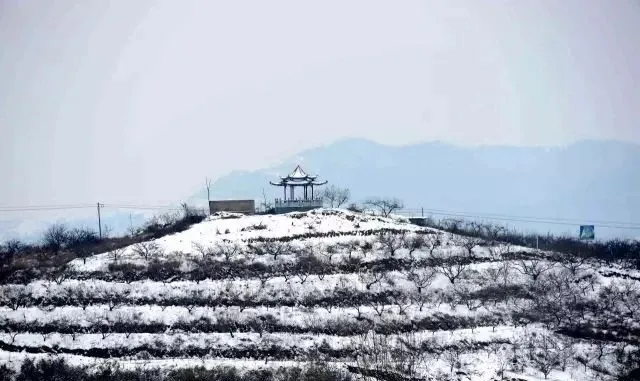 縣區(qū)動態(tài) | 來泌陽吧，來一場不一樣的生態(tài)游