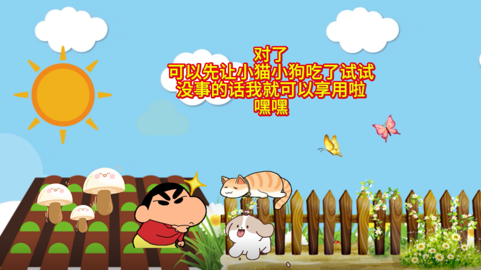 讓動(dòng)物吃野生蘑菇試毒靠譜嗎？