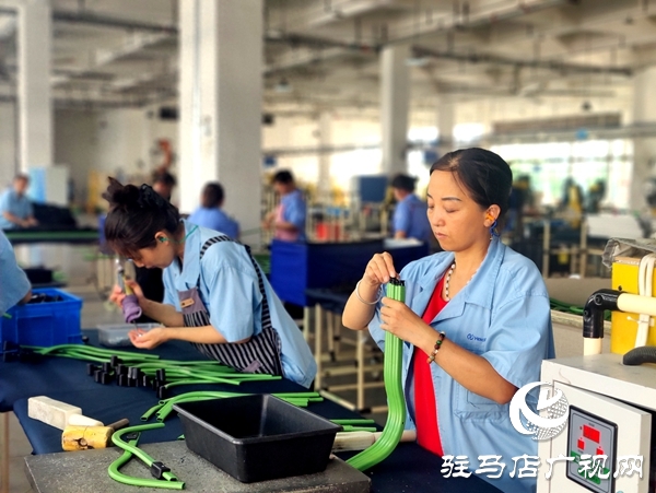 平輿縣“三園”引擎：三鏈共舞，托起強(qiáng)縣富民新圖景