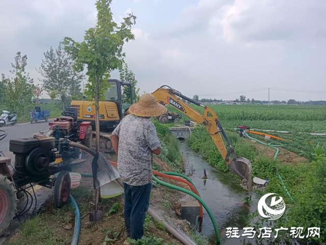 驛城區(qū)諸市鎮(zhèn)：干群同心掀起抗旱保秋熱潮