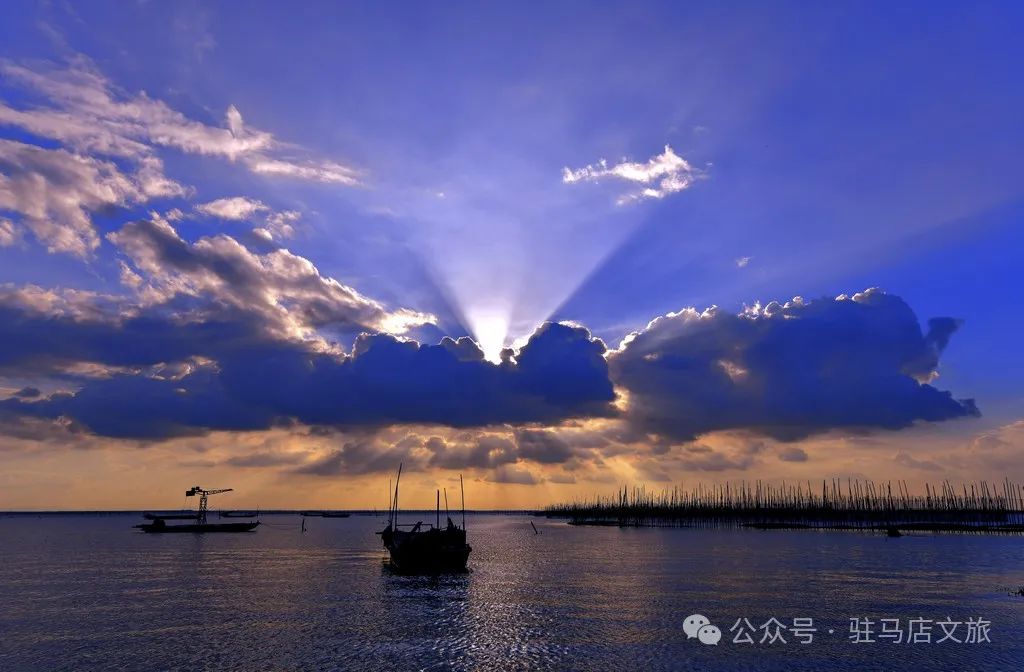 暑期親子游好去處：駐馬店宿鴨湖，與孩子共赴自然之約！